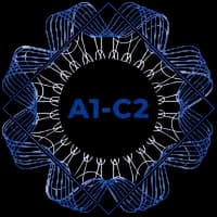 English Level Test English Level Test — A1 to C2