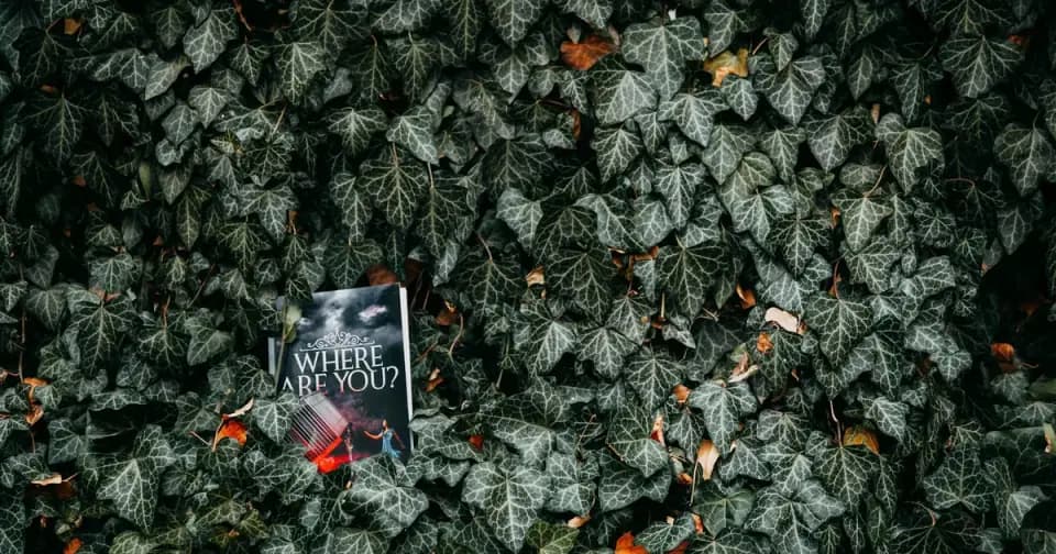 B1 English Story: The Mysterious Garden