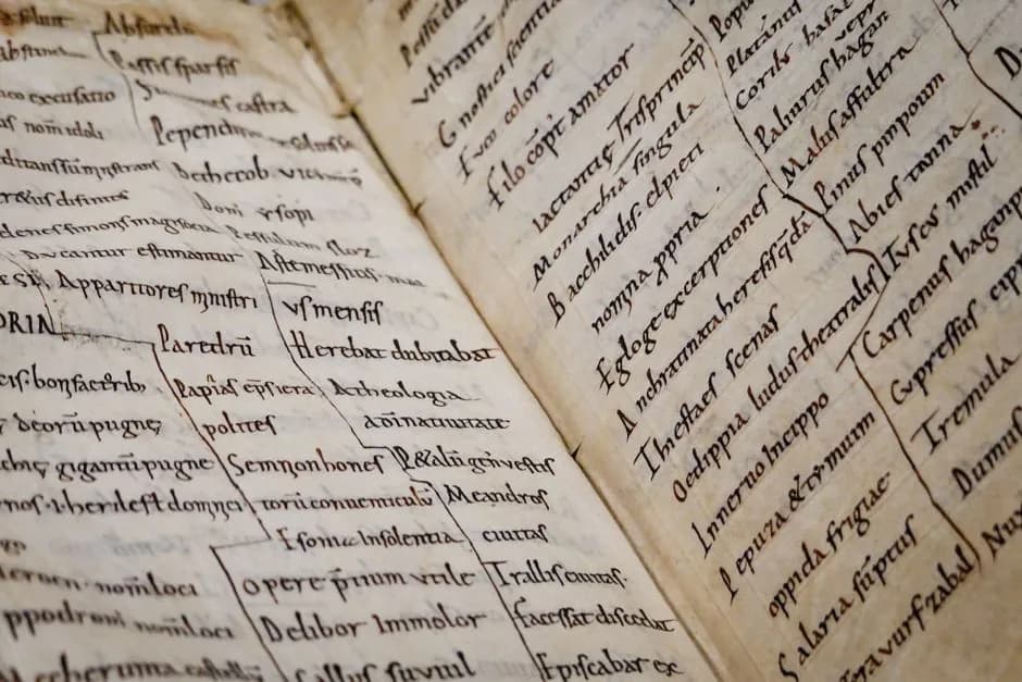 Istoria limbii engleze: de la engleza veche la limbă franca globală