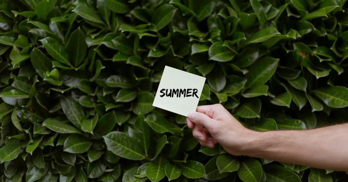 Summer Idioms and Expressions