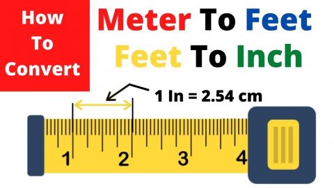 Meter to Feet Calculator [m to ft] - International English Test