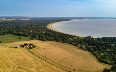 How Big is an Acre? Square Feet Measurements of Land Explained