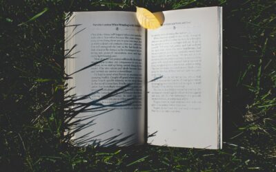 C1 English Story: The Last Summer at Lake Willows