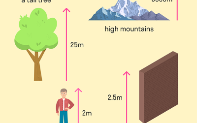 English Words and Synonyms – Small-Little, Big-Large, Tall-High